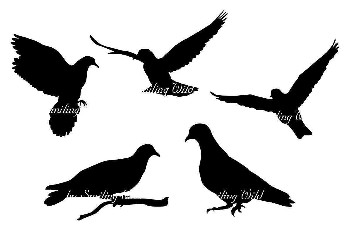1191x842 Dove Silhouette Pigeon Svg Vector Clipart Bird Png Dove Art Print