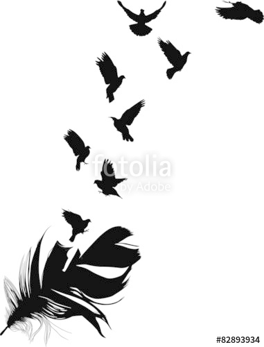 381x500 Doves Flying From Feather Silhouette Isolated On White Stock