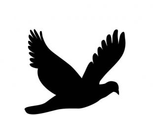 310x233 Flying Dove Silhouette Free Vectors Ui Download