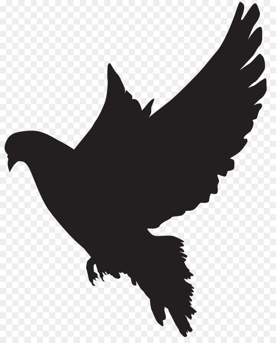 900x1120 Columbidae Silhouette Dove Clip Art
