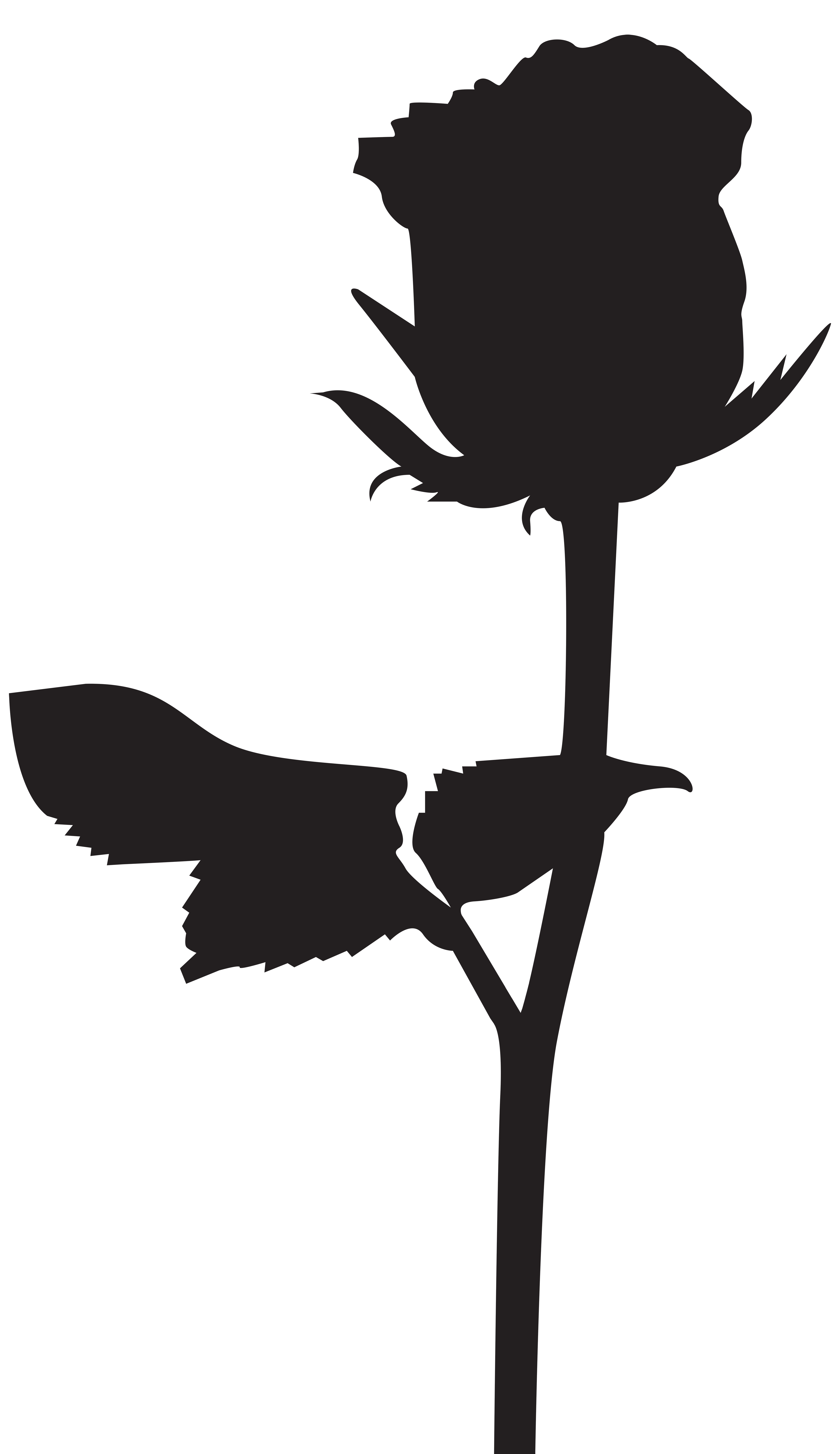 4624x8000 Rose Silhouette Clipart Collection