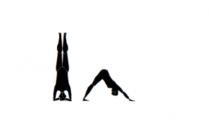 300x189 Yomo Week 3 Full Sequence Backbends