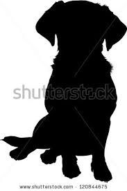 183x276 Pin By Tace Herman On Dogs Dog