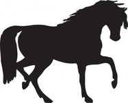 187x150 Horse Cartoon Vector