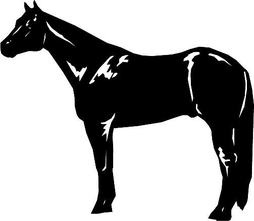 503x438 Quarter Horse Horse Clipart Horse Sketches, Etc.