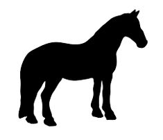 235x202 Western Pleasure Horse 3927375.jpg (Jpeg 1300 1168