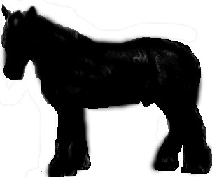 303x253 Body Type And Proportion Outlines