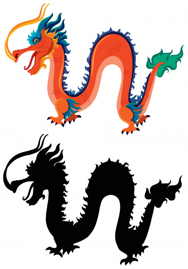 626x897 Chinese Dragon And Silhouette Vector Premium Download