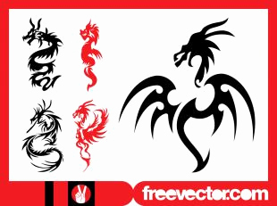 310x231 49 Best Of Photos Silhouette Dragon Tattoos