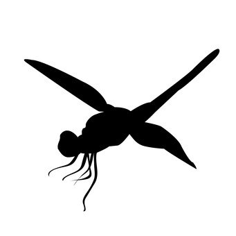 341x340 Free Silhouette Vector Dragonfly, Up