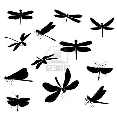 400x400 Libellule Libellules Silhouettes