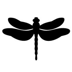 236x236 Whimsical Dragonfly Drawings