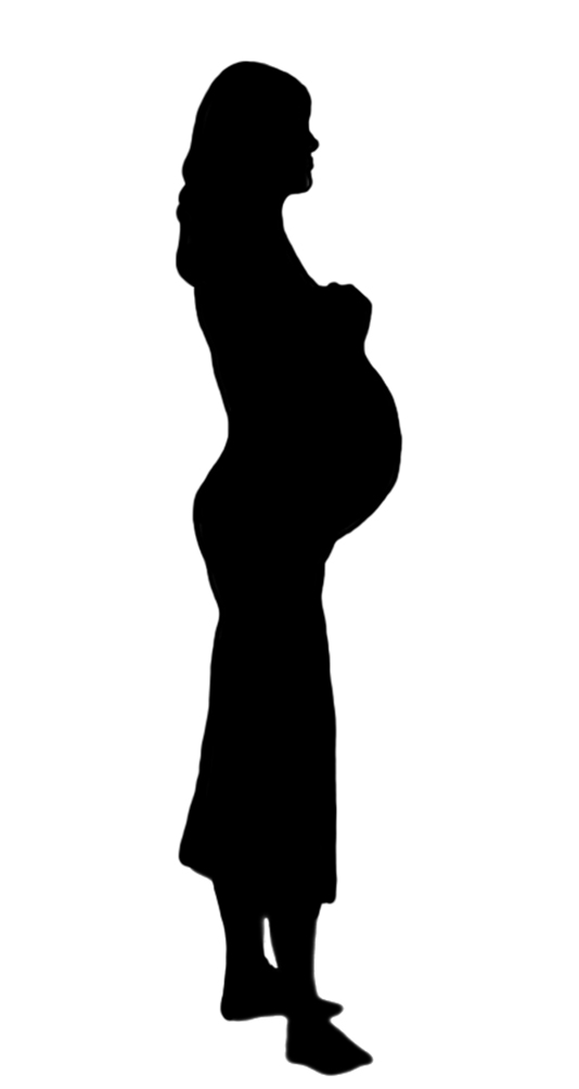 534x1004 Female Silhouette