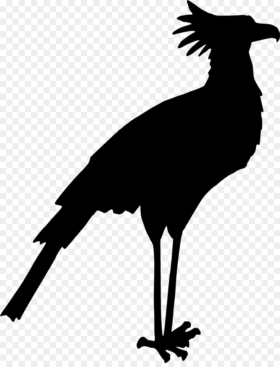 900x1180 Bird Drawing Clip Art