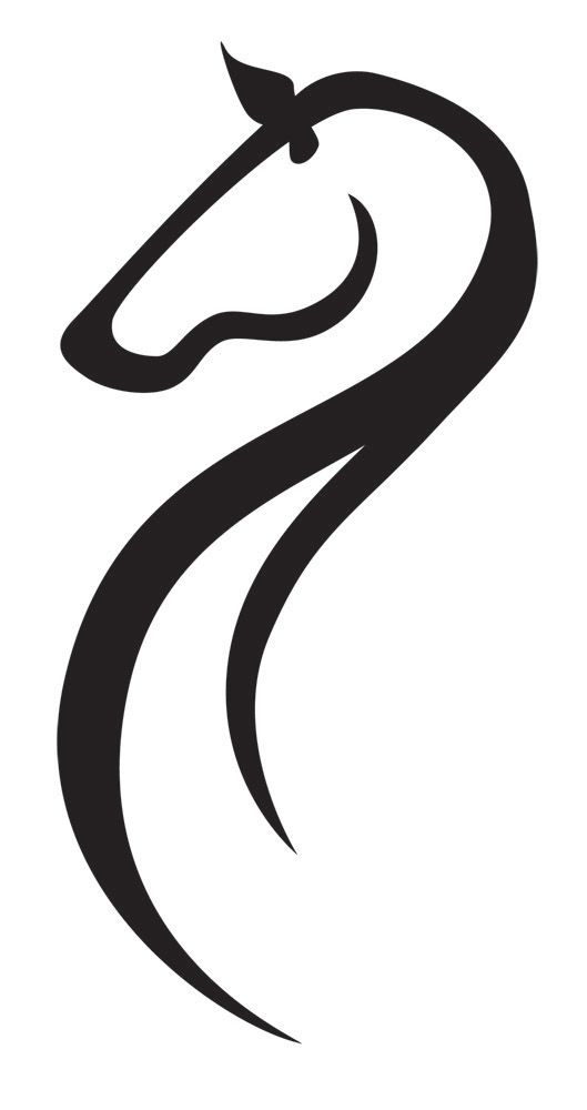 529x1000 Pin English Horse Head Dressage Equestrian Equine Horseback Horses