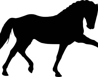 340x270 Dressage Horse Etsy