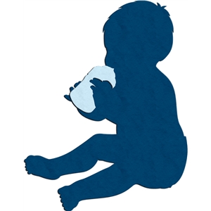 300x300 Silhouette Design Store