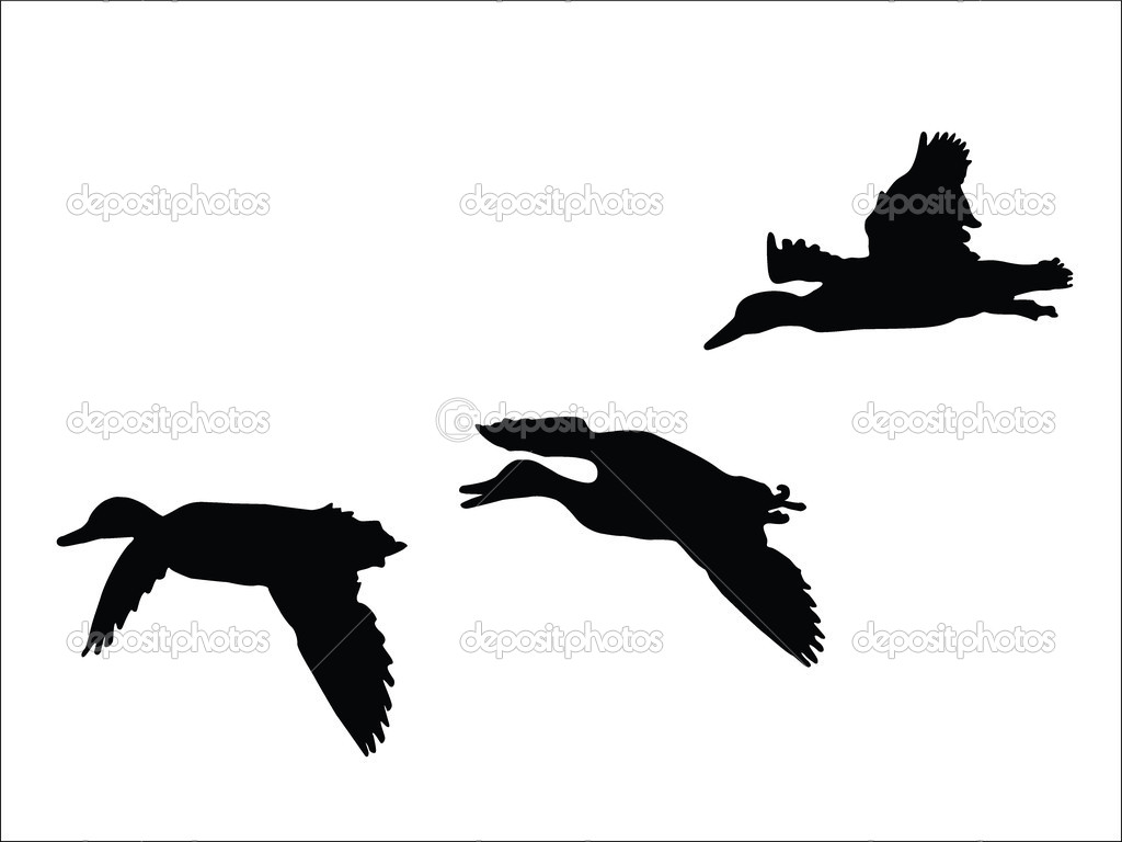 1024x768 Mallard Silhouette Clip Art