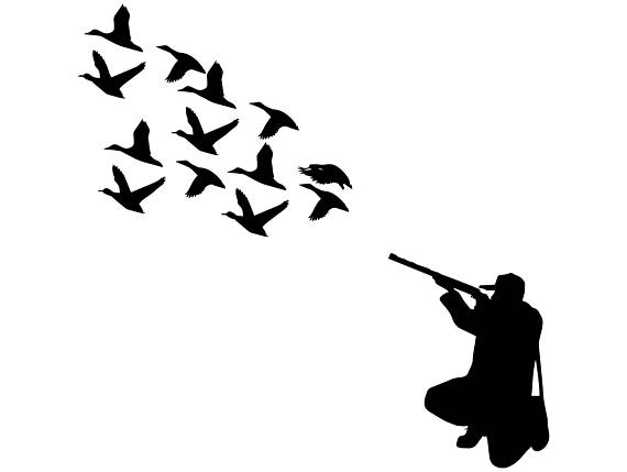 570x429 Hunter Duck Gun Nature Hunting Hunt Hobby Rifle Weapon Goose