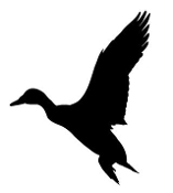 157x175 Waterfowl Duck Hunting Decals Stickers