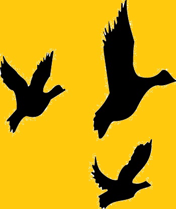 350x415 Concept Design Home Duck Hunting Clipart Photos