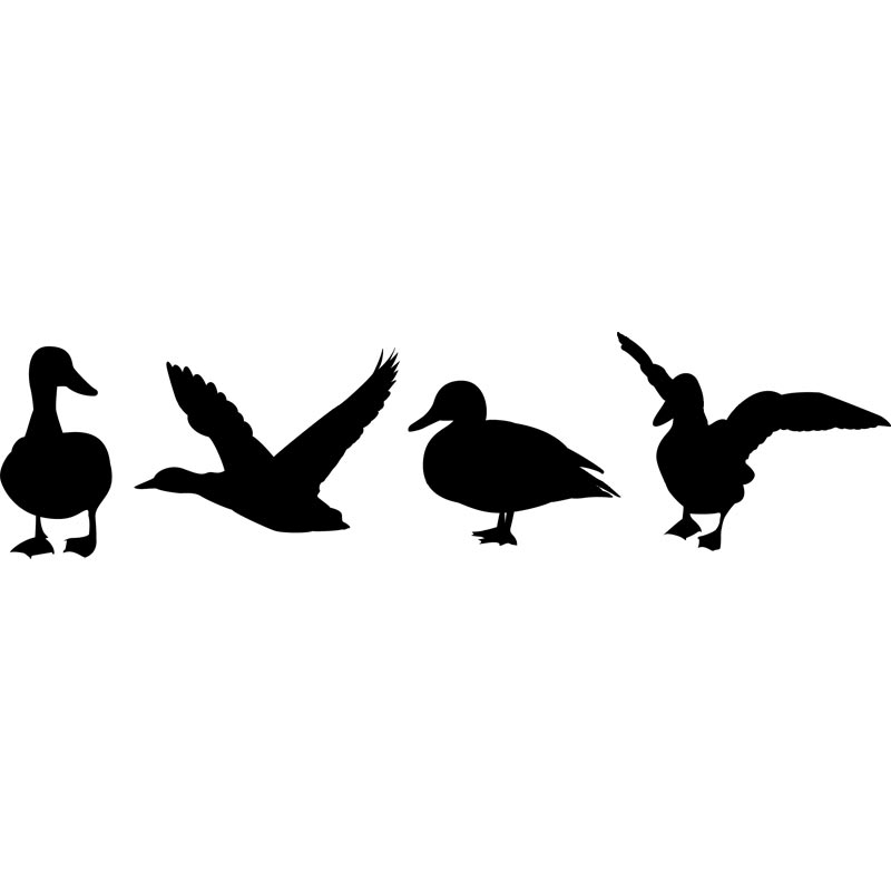 800x800 Duck Hunting Clipart Collection