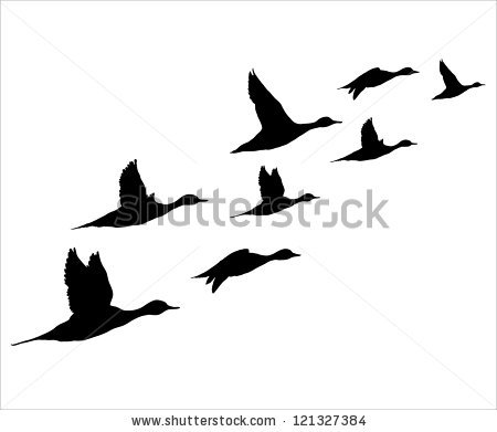 450x391 Flock Of Ducks Clipart