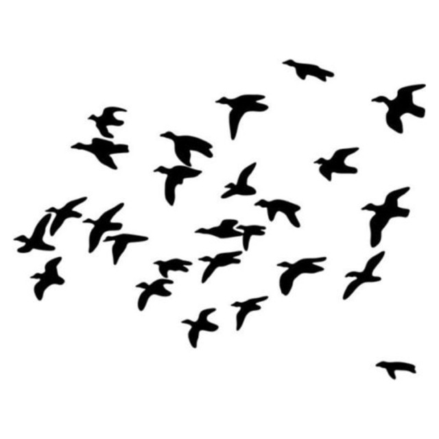 640x640 14.2cm11cm Flying Ducks Landing Hunting Car Sticker Motorcycle