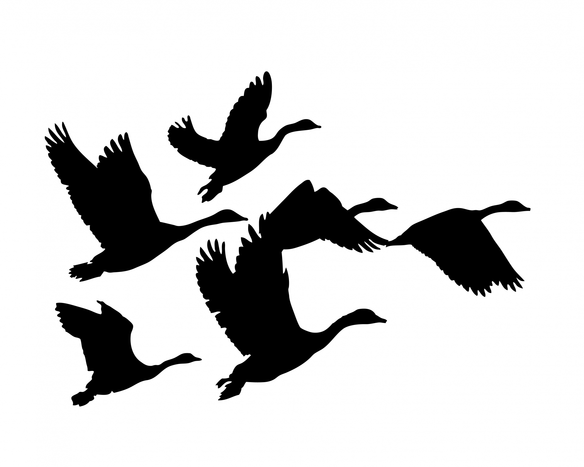1920x1535 Geese Flying Silhouette Free Stock Photo