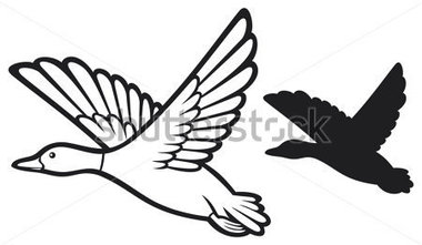 380x221 Mallard Duck Clipart