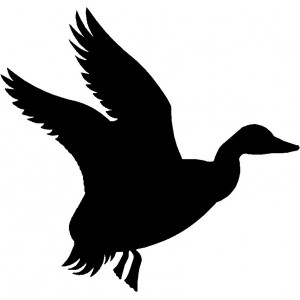 300x300 Other Animal Silhouettes