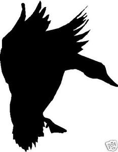 233x300 Landing Silhouette Duck Hunting Decal 5 X 6 Ebay
