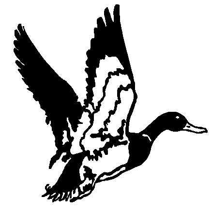 438x438 Vector Silhouette Of Mallard Duck In Flight. Simple Black