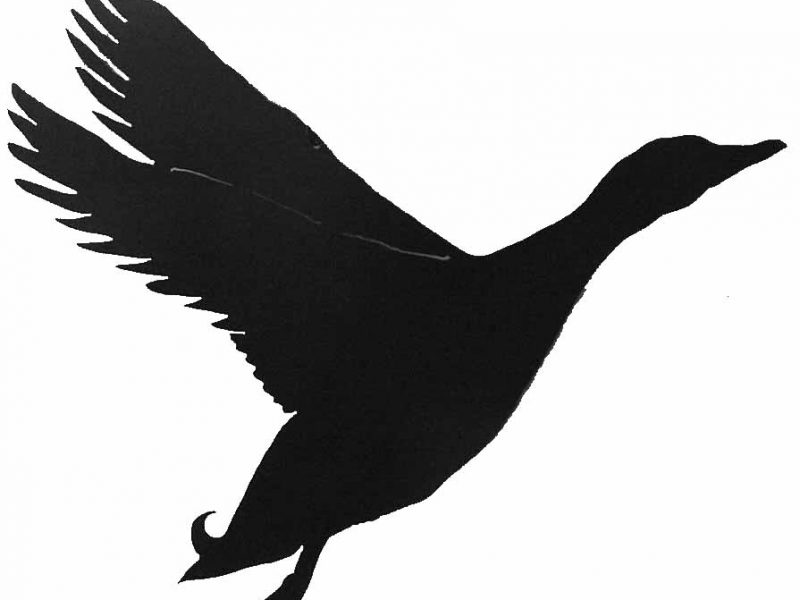 800x600 Extremely Flying Duck Silhouette Clipart Panda Free Images