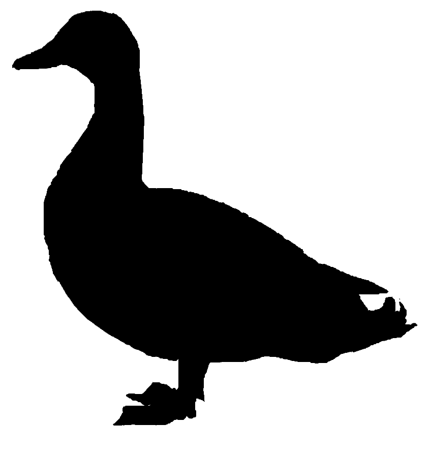 848x893 Flying Duck Silhouette Clipart Library