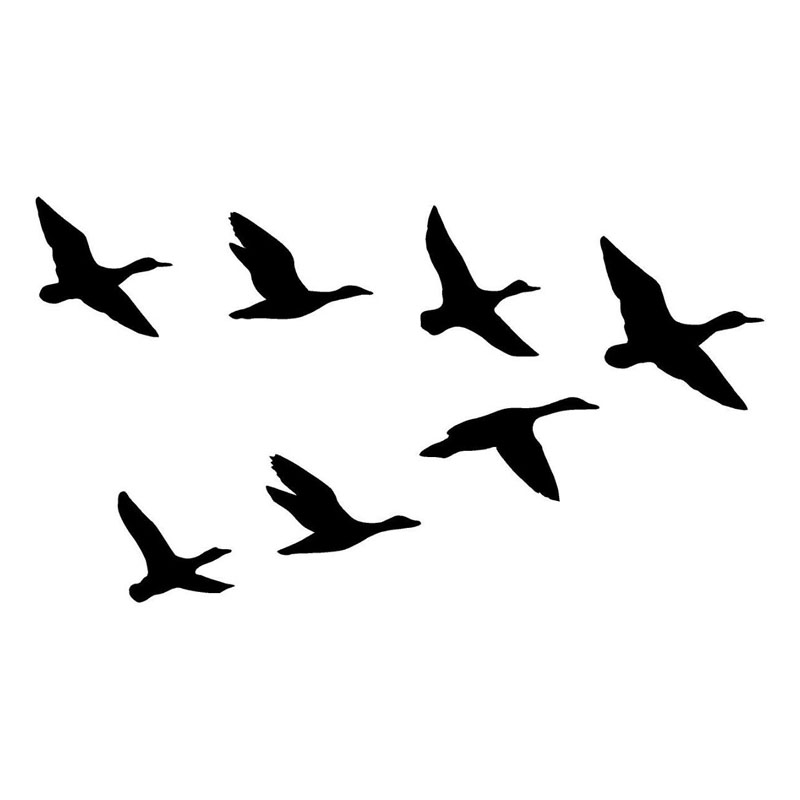 800x800 Buy Duck Hunting Decals And Get Free Shipping