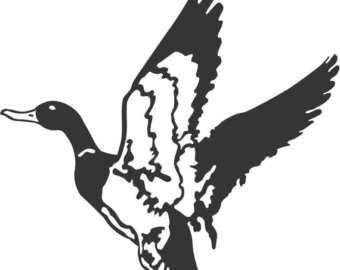 340x270 Duck Sticker Etsy