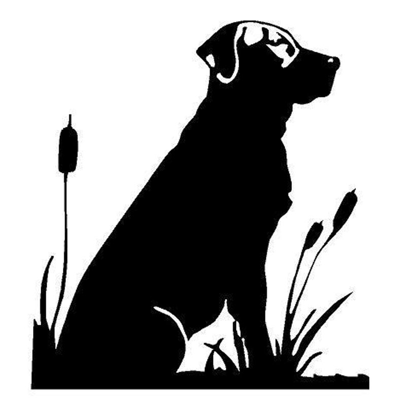 800x800 13.614.9cm Lab Cattails Hunt Dog Labrador Retriever Stickers