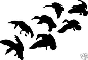 300x205 Silhouette Flock Ducks Landing Hunting Decal 8.5 X 5 Ebay