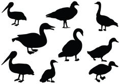 236x165 Awesome Duck Silhouette Vectors Added For A Perfect Download