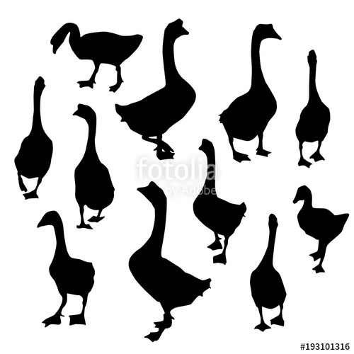 500x500 Set Geese, Black Duck Goose Silhouette Isolated On White