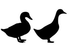 236x164 Duck Amp Ducklings Silhouette