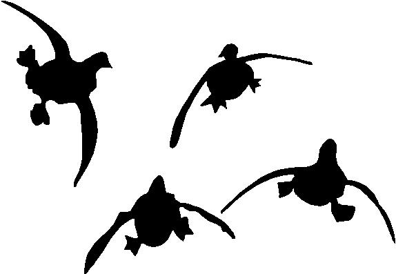 574x397 Free Duck Silhouette Clip Art
