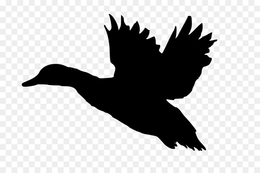 900x600 Mallard Duck Silhouette Clip Art