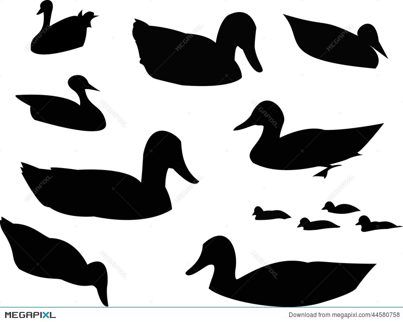 800x640 Duck Silhouette Animal Clip Art Illustration 44580758