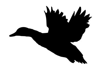 464x308 Duck Flying Silhouette Vector Silhouettes, Free Printables