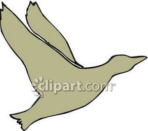 300x267 Silhouette Of A Flying Duck