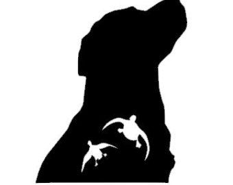 340x270 Ducks Landing Silhouette Pic To See Silhouettes