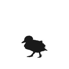 236x236 Duck Silhouette Silhouettes