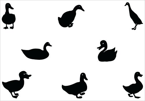 501x351 Flying Duck Silhouette Vector Graphics Best Rubber Duck Clip Art